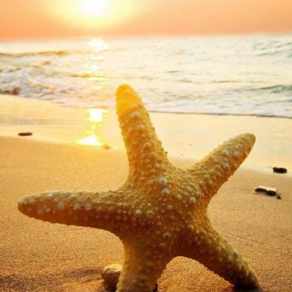 Meet your Posher, David - Picture 1 of 1